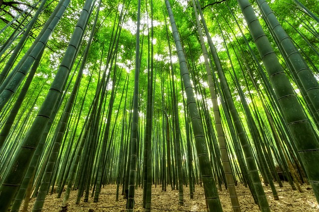 A Low-carbon Consultancy, UK