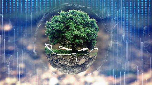 A National Innovation Agency and an Agricultural Innovation Agency in South America