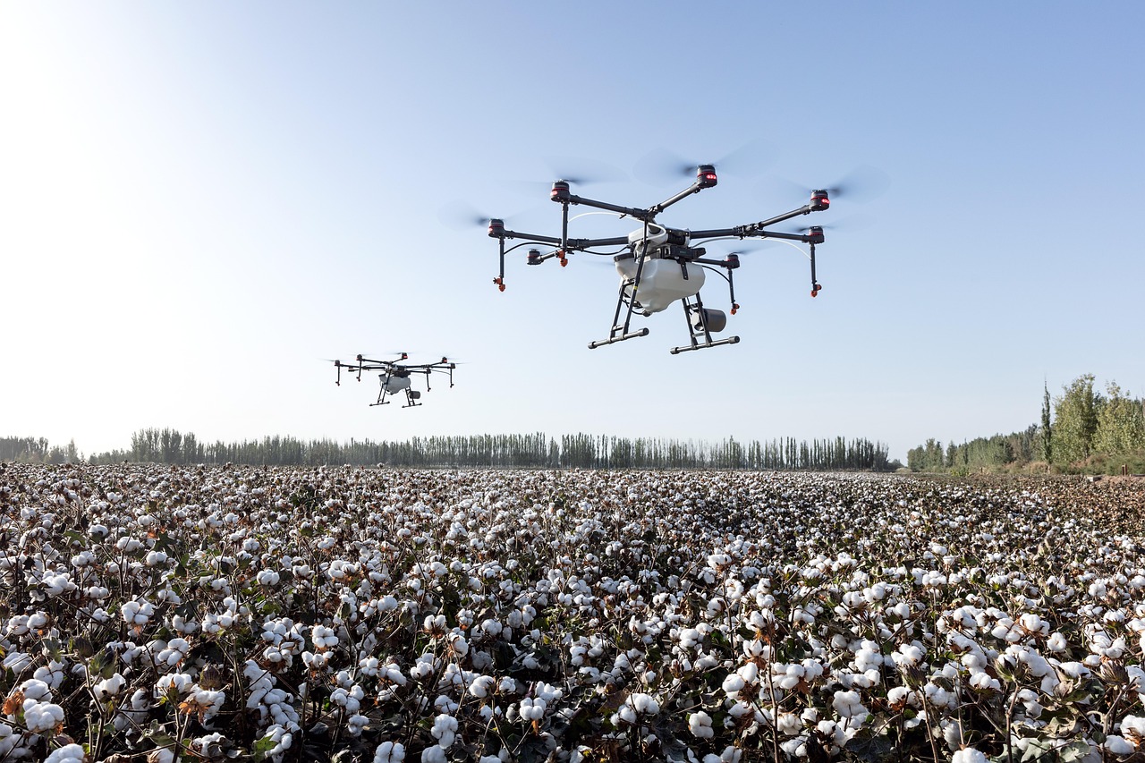 A National Innovation Agency and an Agricultural Innovation Foundation in South America