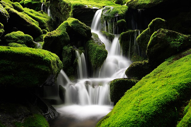 A Sustainability Consultancy, UK