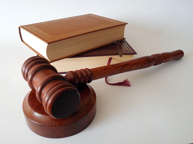 A European Professional Training Academy for Public Sector Governance in Europe